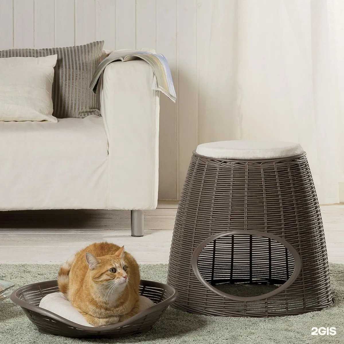 Отзывы на компанию Луна в г. Ижевск c фото