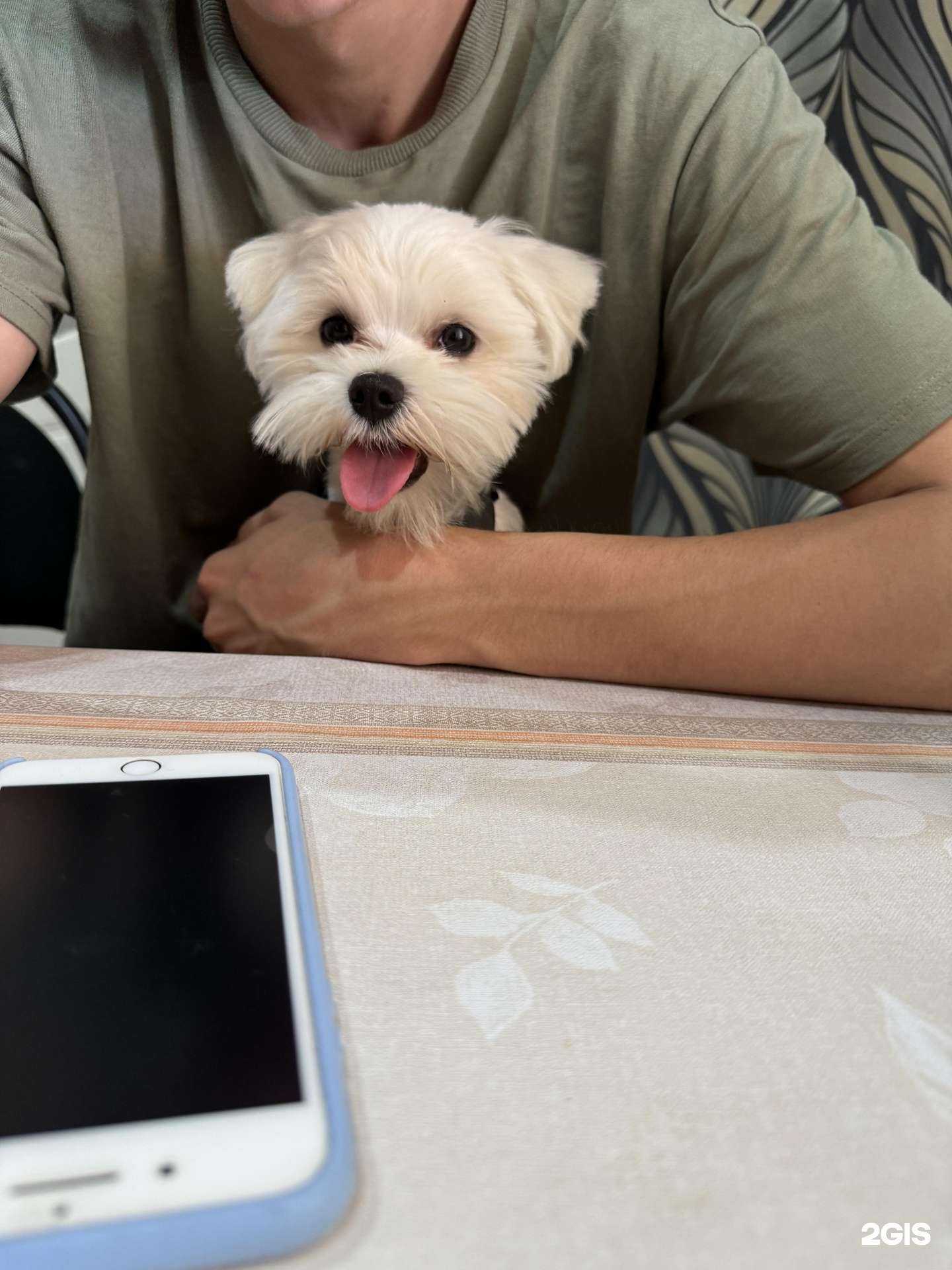 Отзывы на компанию Челябинский центр ветеринарной медицины в г. Челябинск c фото