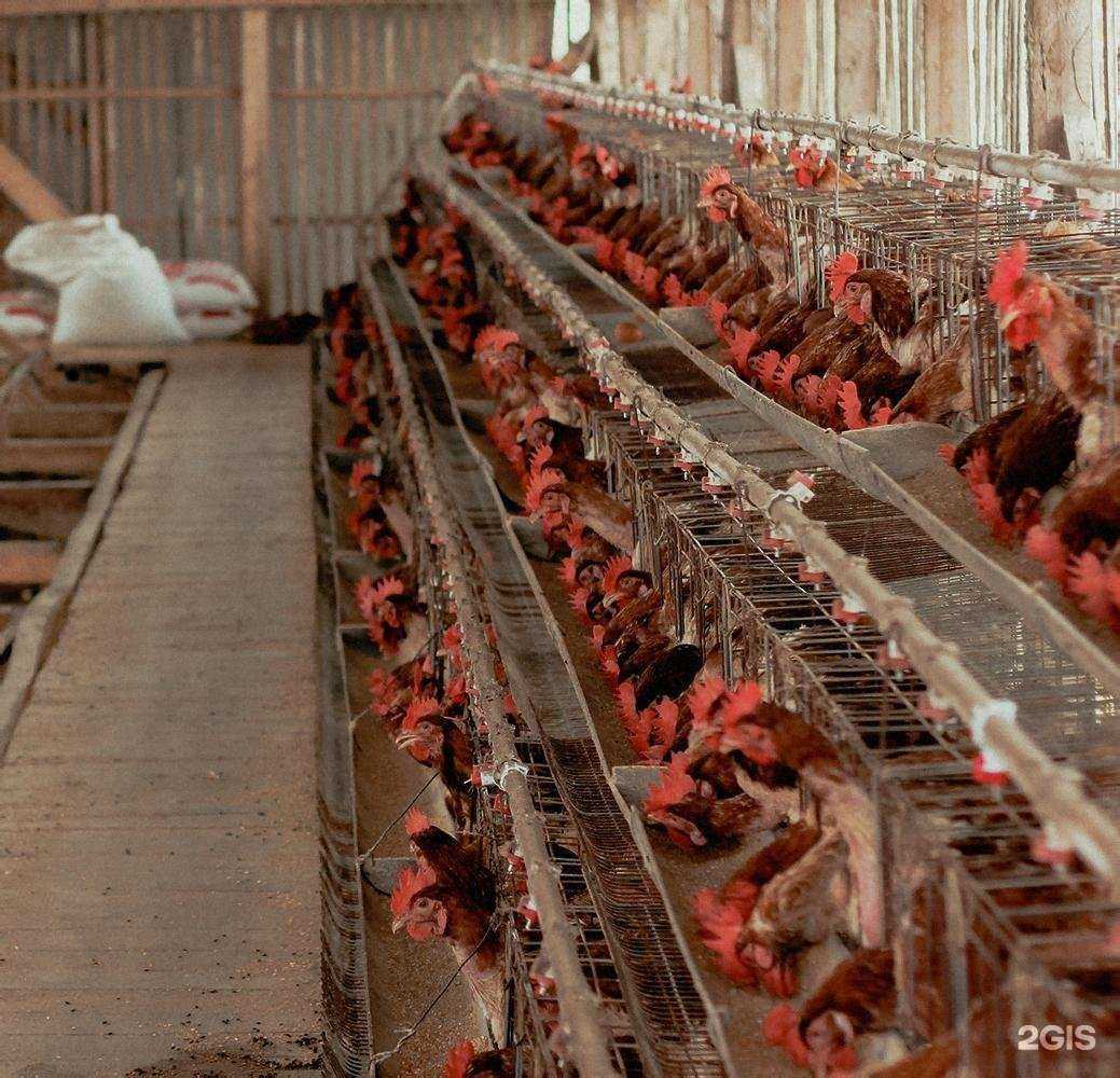 Отзывы на компанию Кадровый ресурс в г. Томск c фото