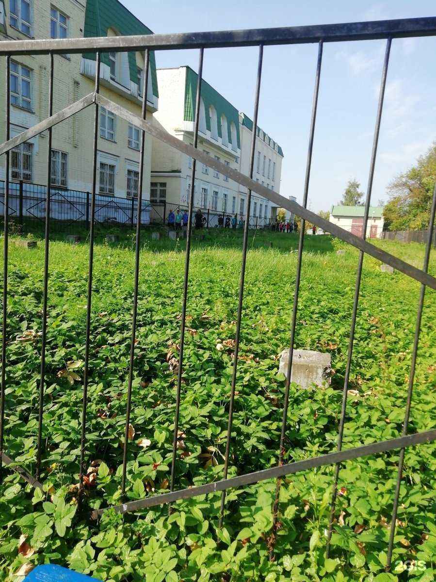 Отзывы на компанию Средняя школа №3 в Твери c фото