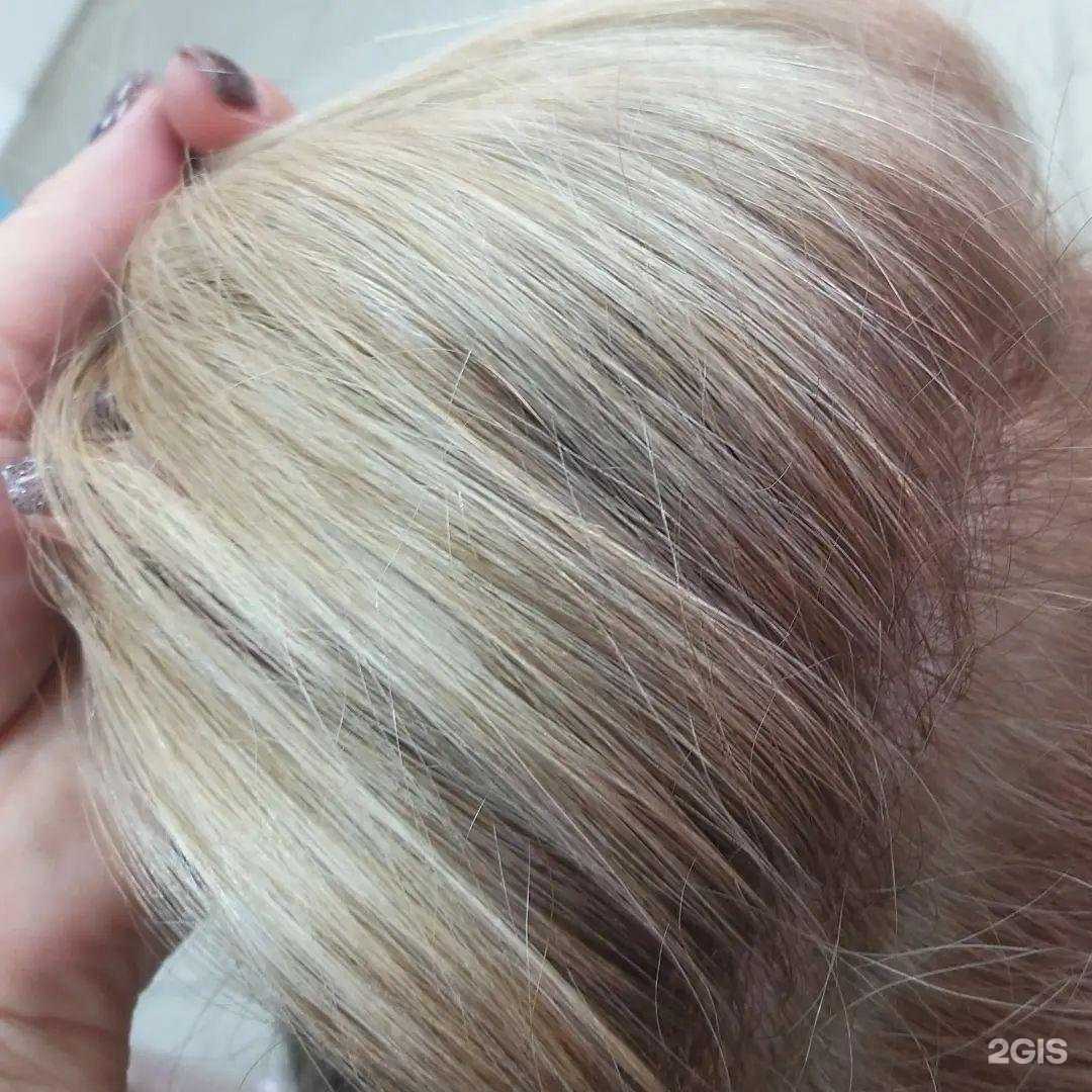 Отзывы на компанию Kolorist в Белгороде c фото