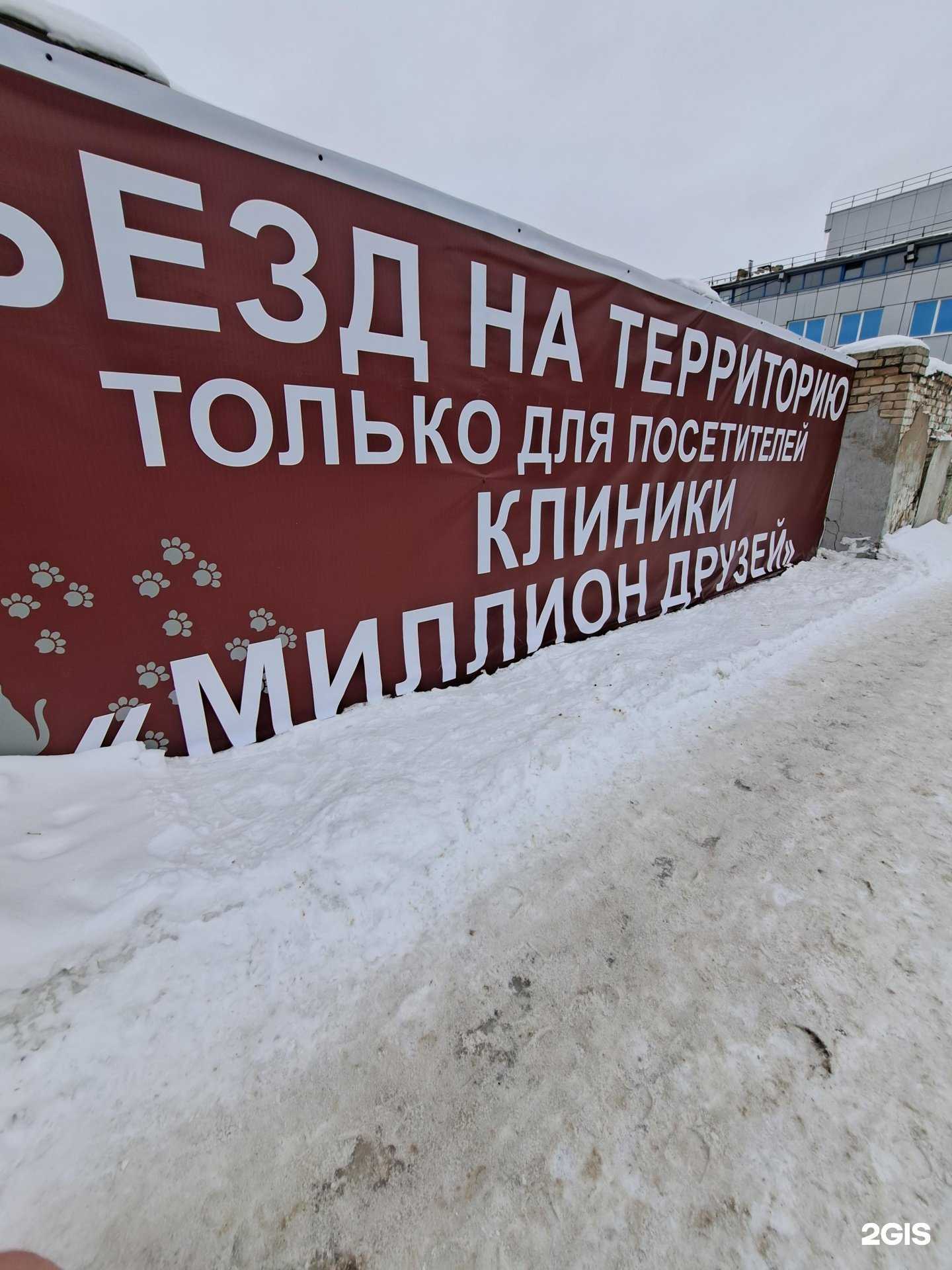 Отзывы на компанию Миллион Друзей в Ярославле c фото