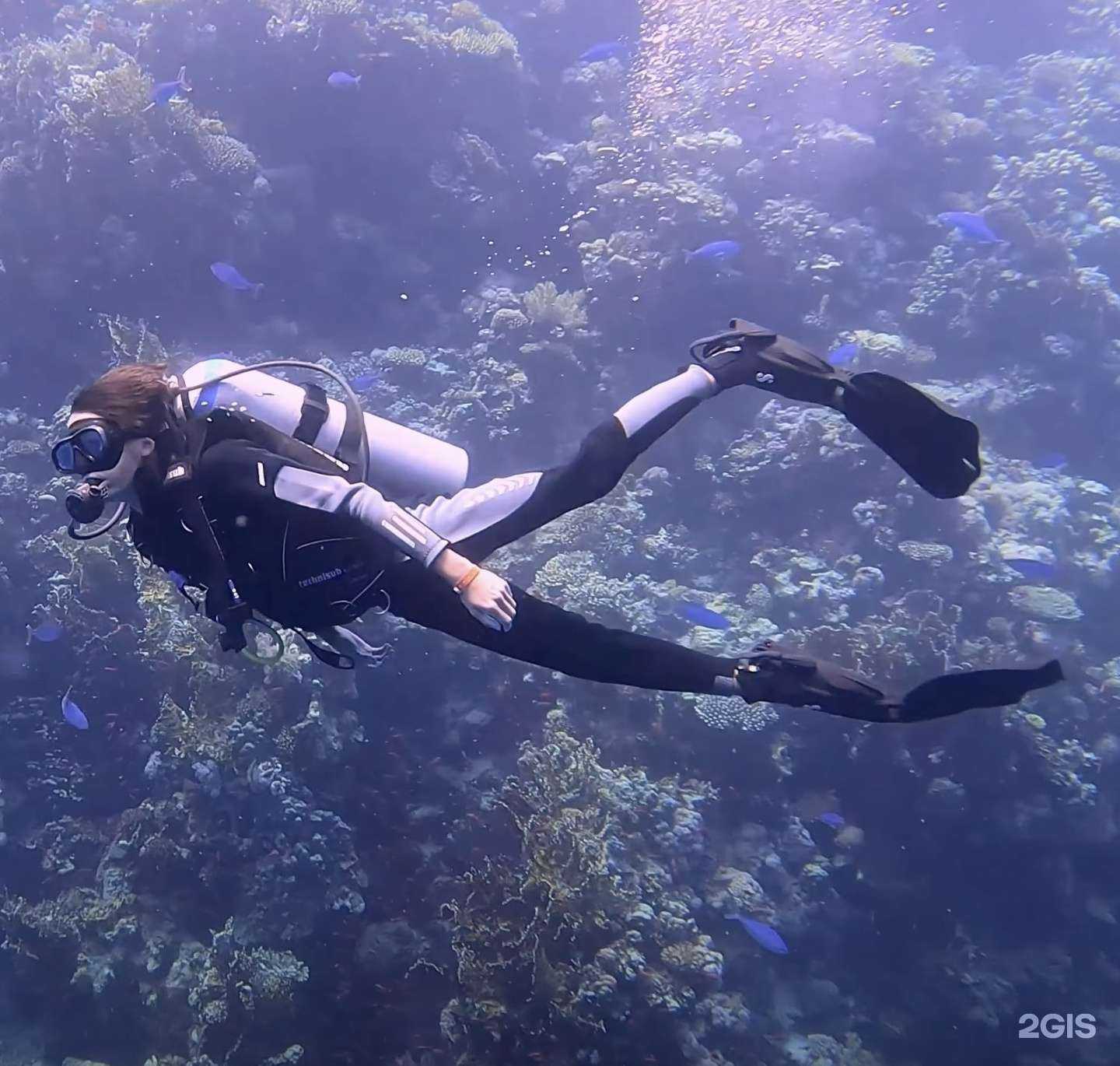 Отзывы на компанию Calypso в г. Ярославль c фото