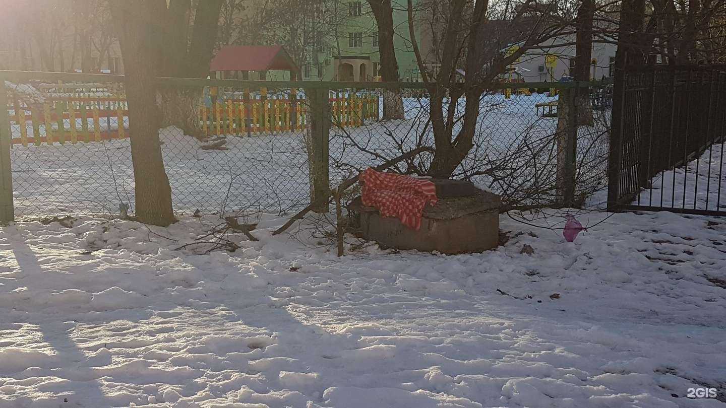 Отзывы на компанию Детский сад №321 в Ростове-на-Дону c фото