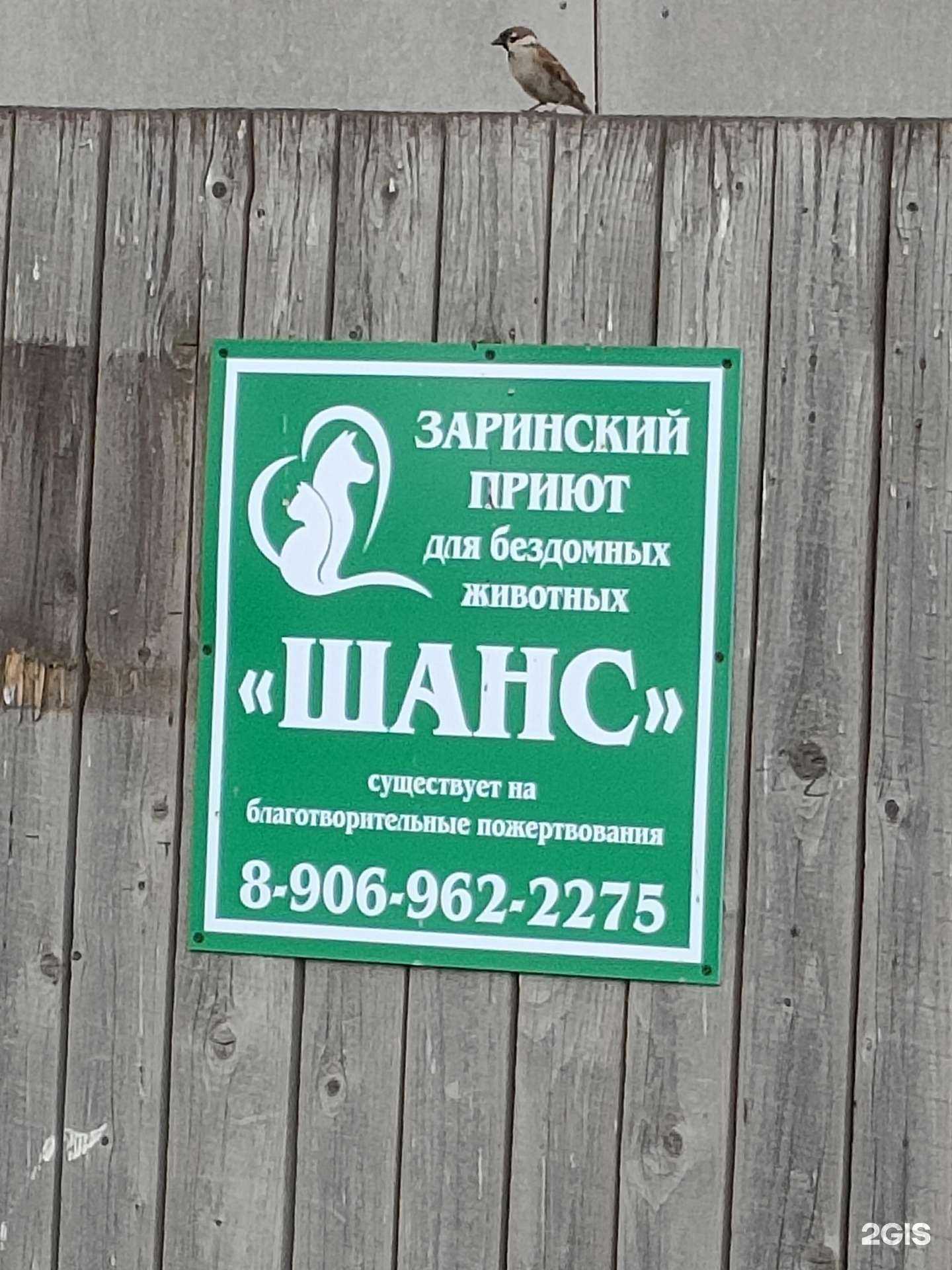 Отзывы на компанию Шанс в г. Заринск c фото