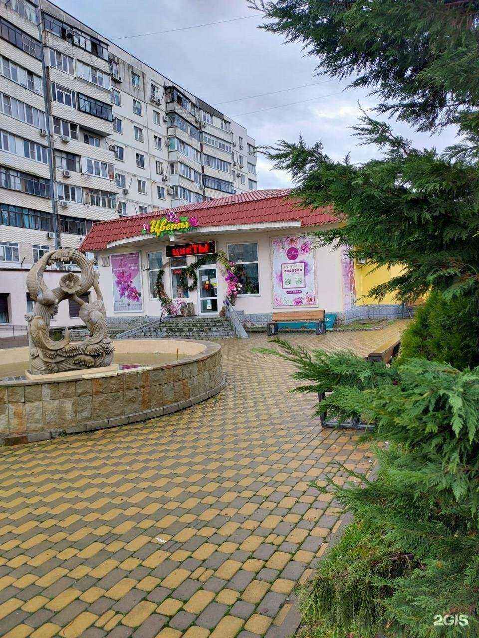 Отзывы на компанию Социальная Аптека в Новороссийске c фото - фотография 2 из 2