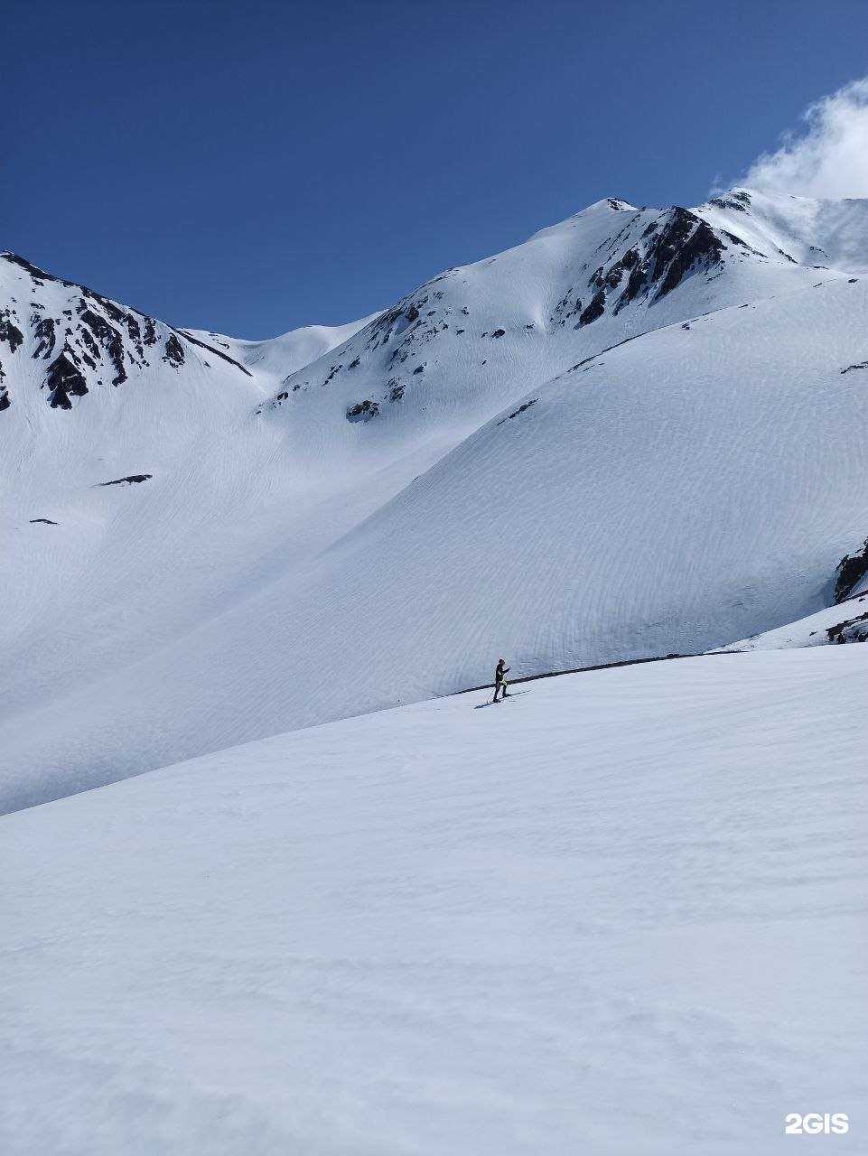 Отзывы на компанию Akademsportlab в Новосибирске c фото