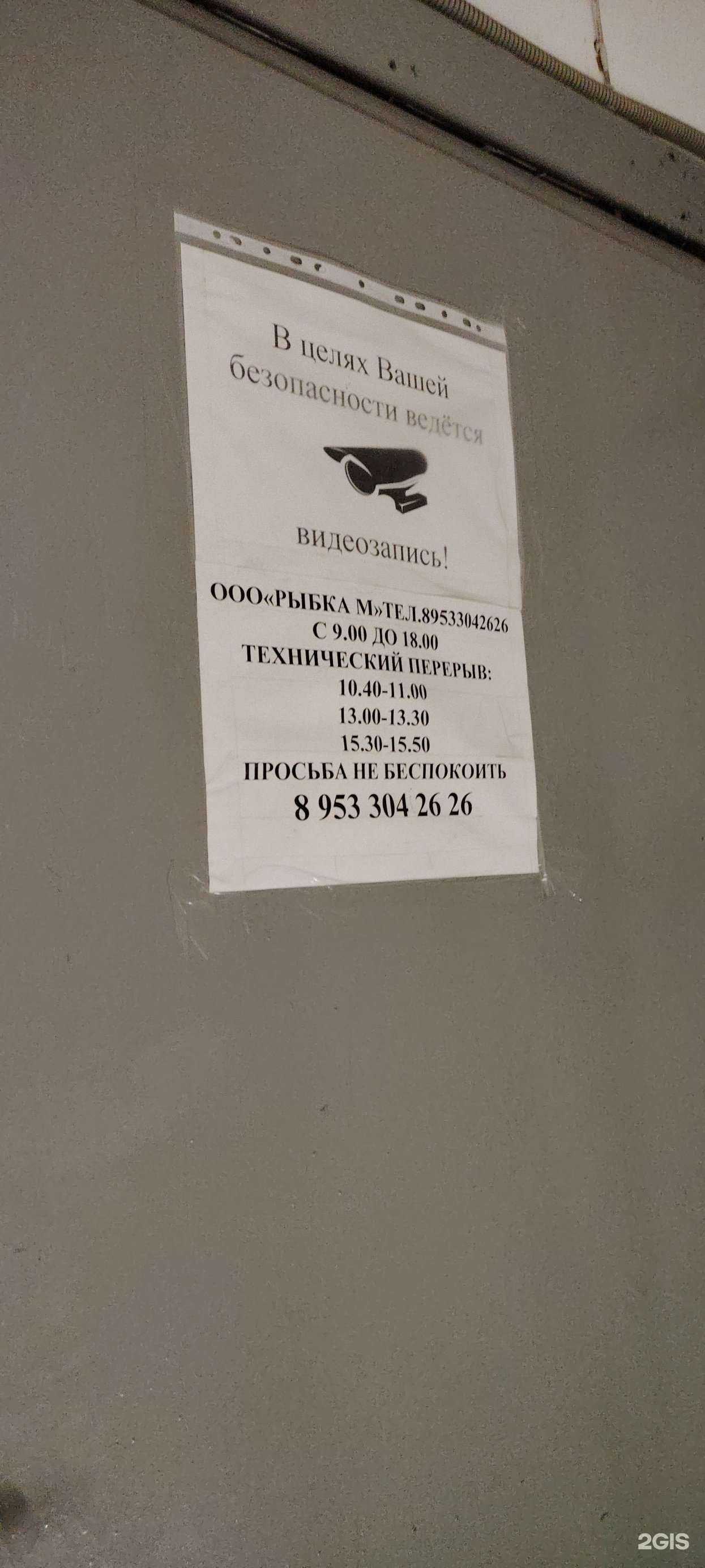 Отзывы на компанию Рыбка М в Мурманске c фото