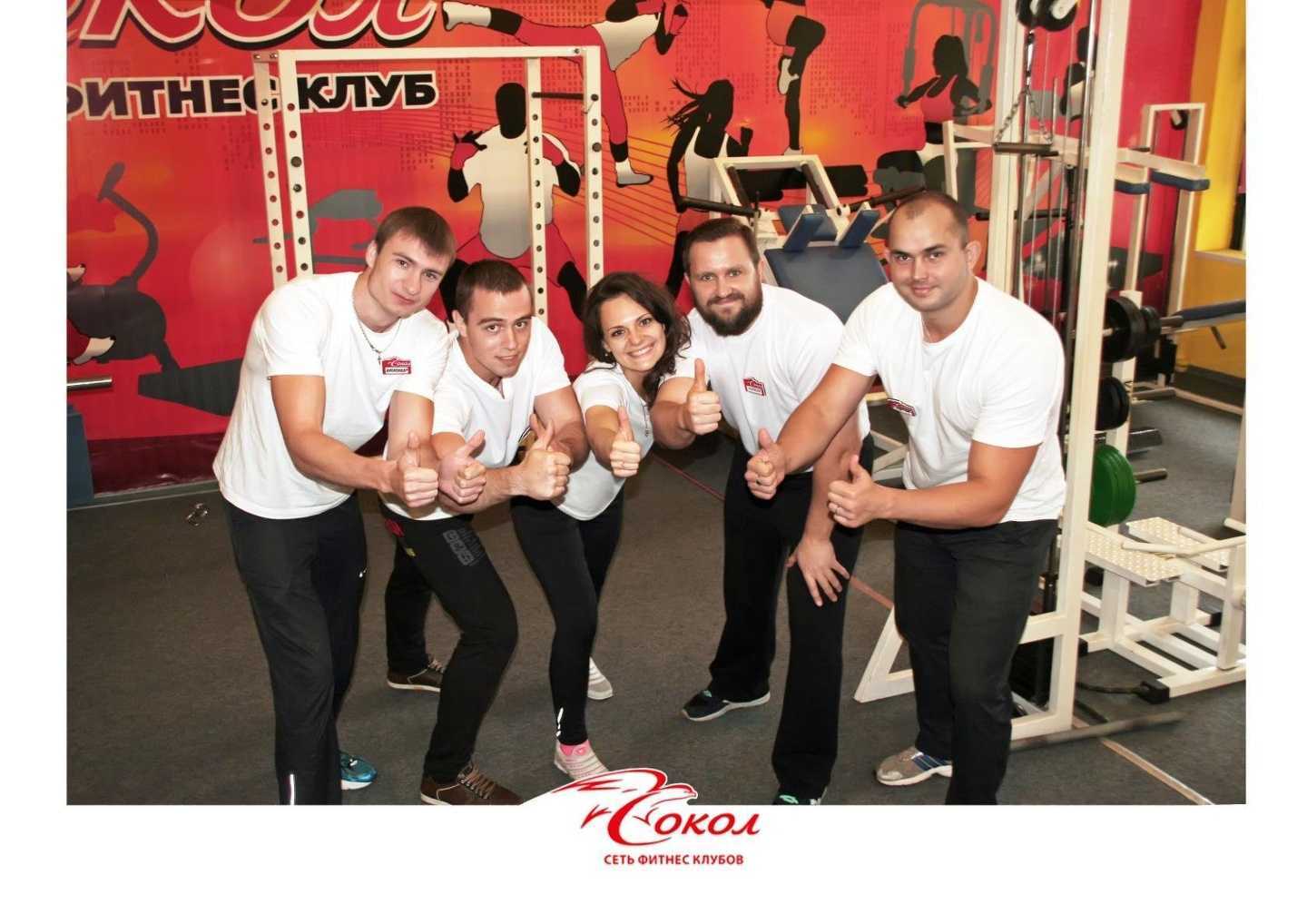 Отзывы на компанию Сокол в Брянске c фото