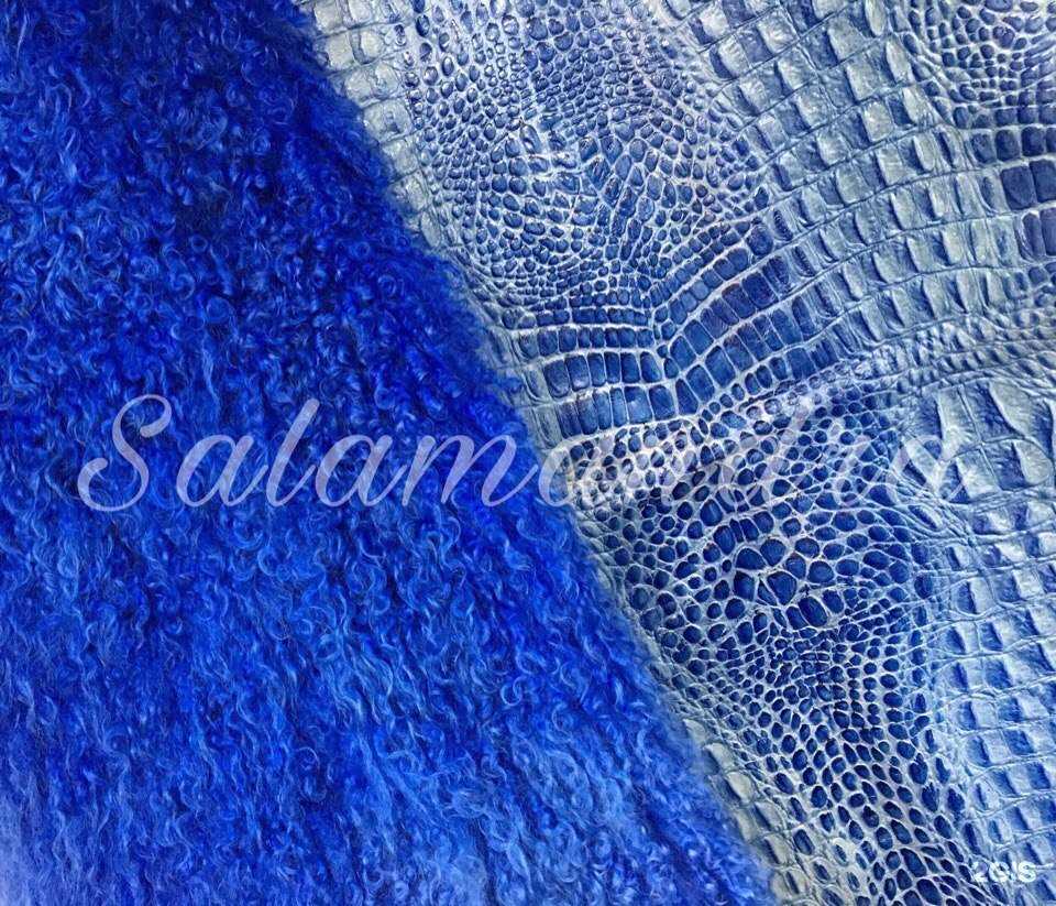 Отзывы на компанию Саламандра в Хабаровске c фото