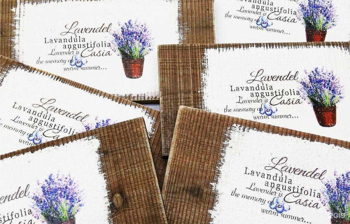 Отзывы на компанию Концепт в Коврове c фото