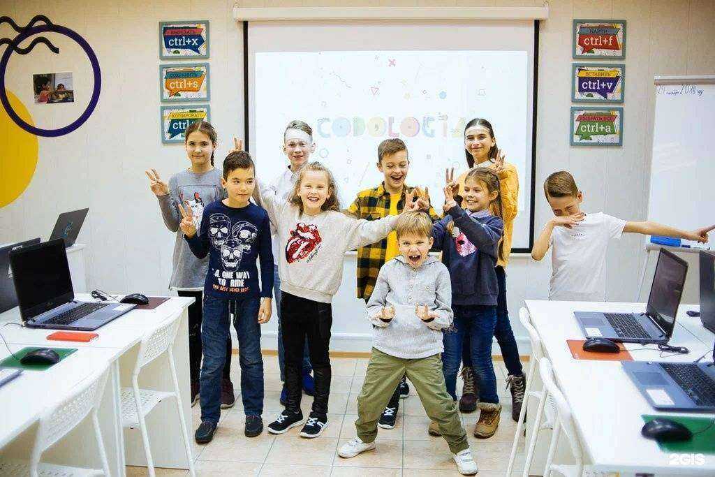 Отзывы на компанию Кодология в Новосибирске c фото