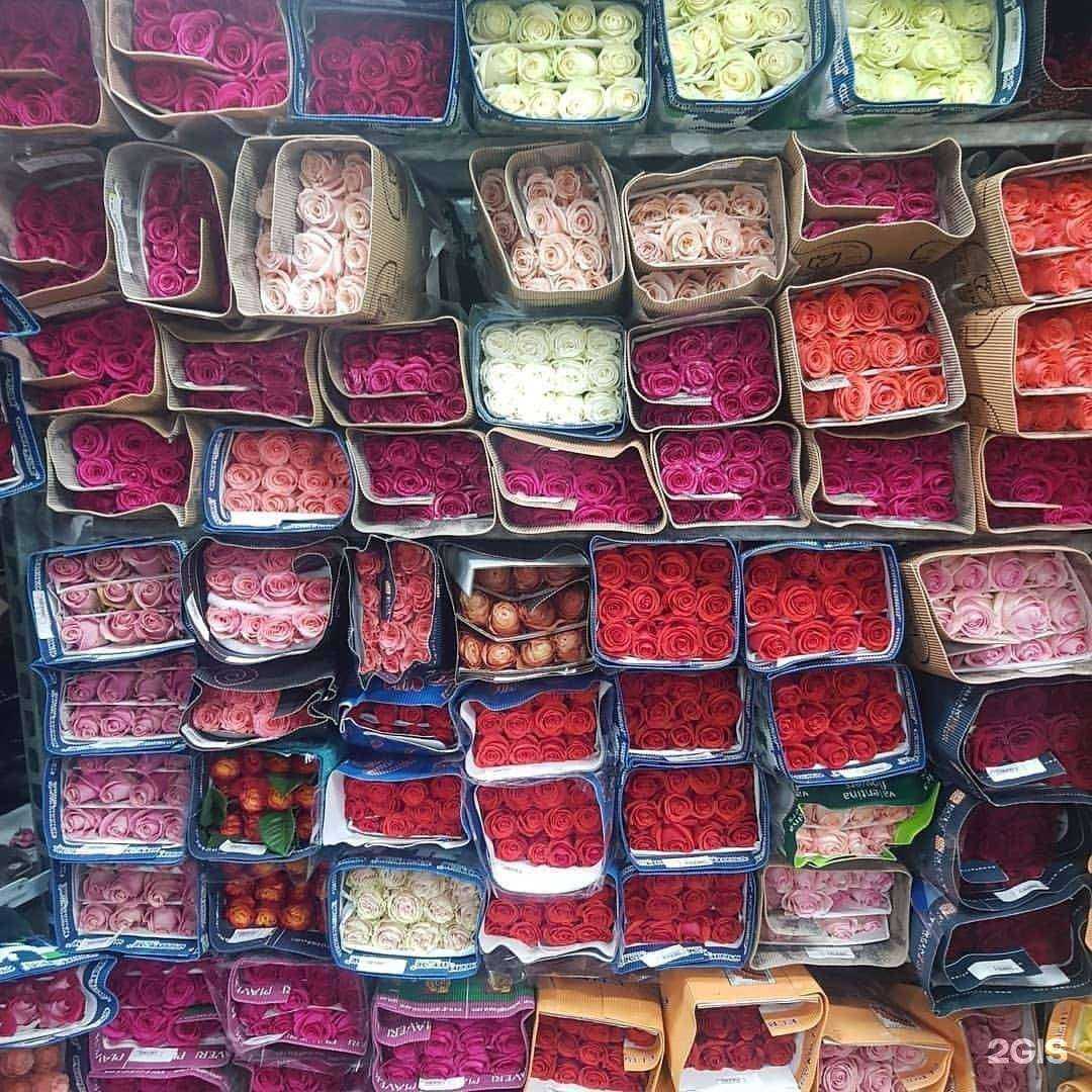 Отзывы на компанию Байкал флора в г. Красноярск c фото