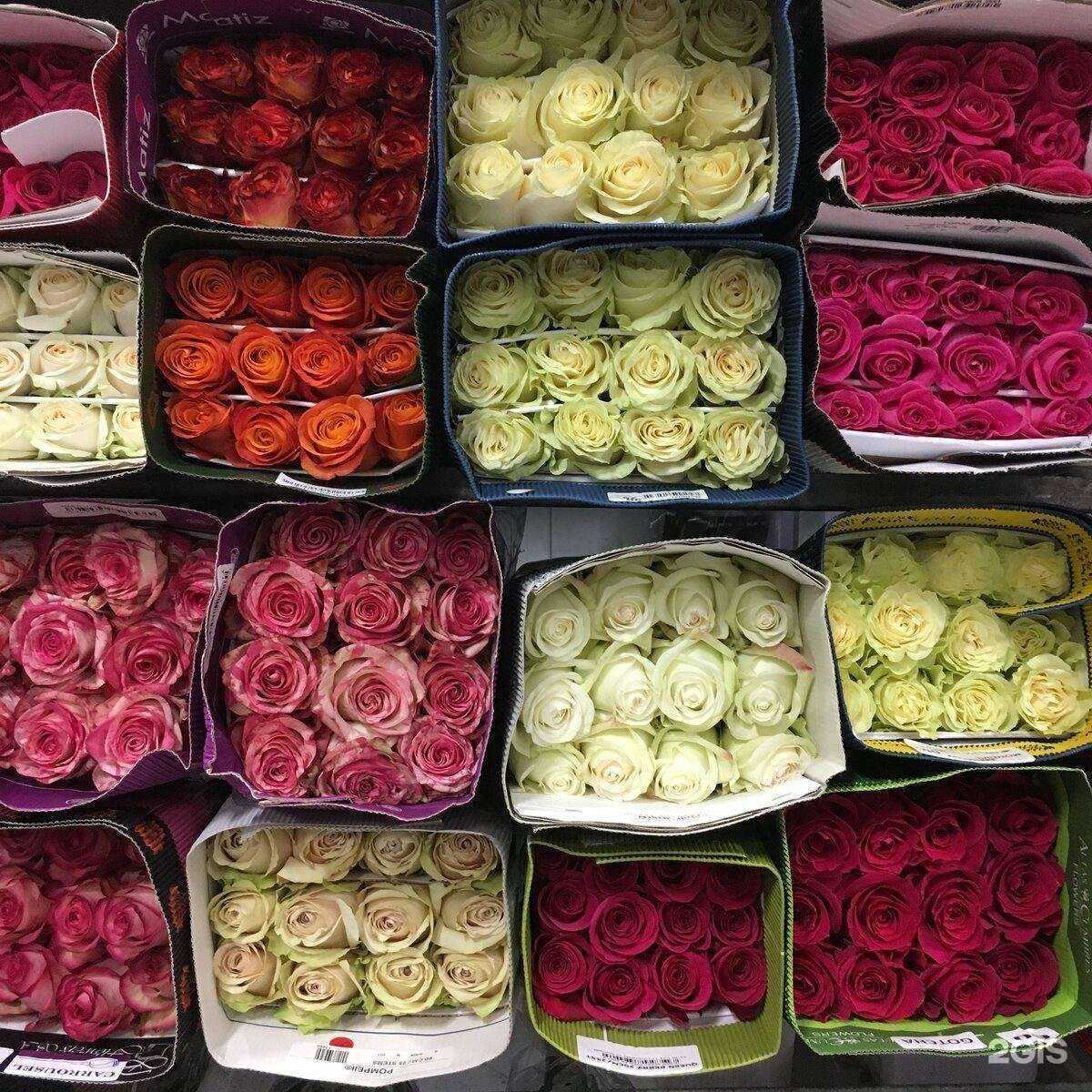 Отзывы на компанию Гараж в Нижнекамске c фото