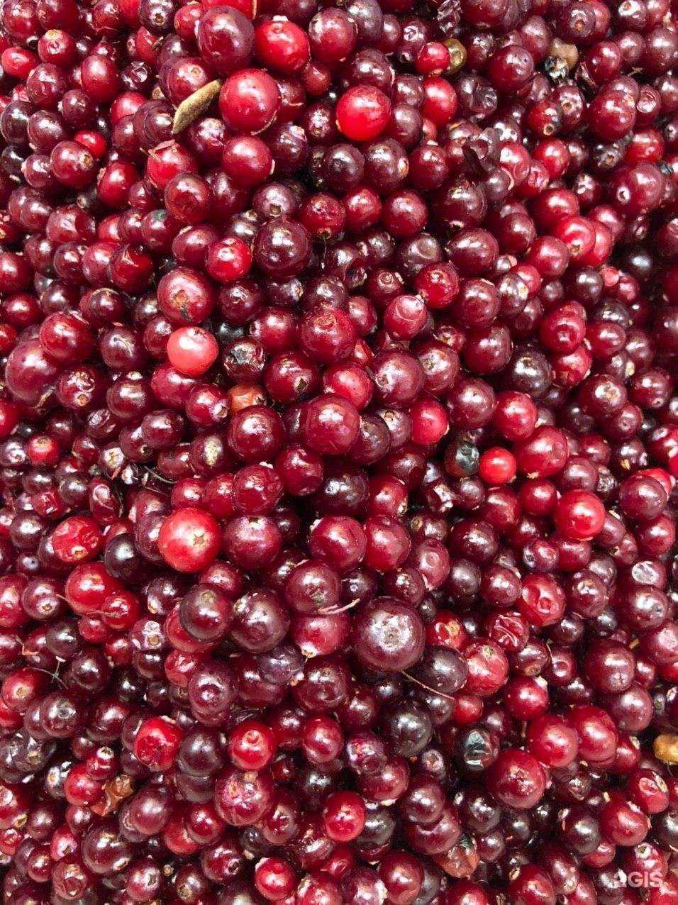 Отзывы на компанию Ягодник в г. Иркутск c фото