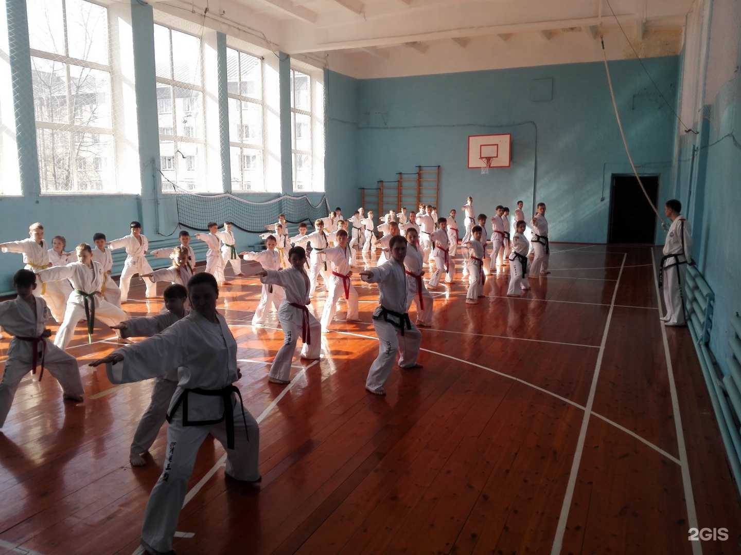 Отзывы на компанию Алтайская краевая спортивная федерация тхэквондо Итф в Барнауле c фото