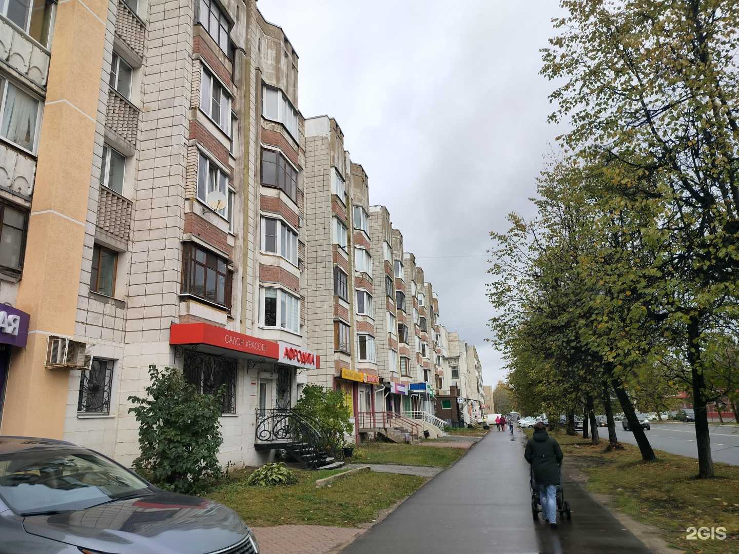 Отзывы на компанию Лови Шарик в Костроме c фото