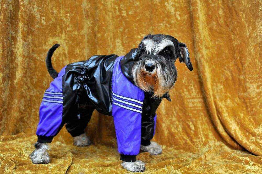 Отзывы на компанию Баскервиль Холл в Великом Новгороде c фото