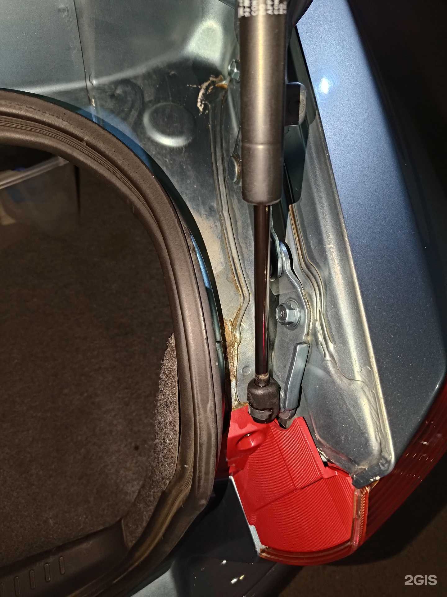 Отзывы на компанию Grass в Волгограде c фото