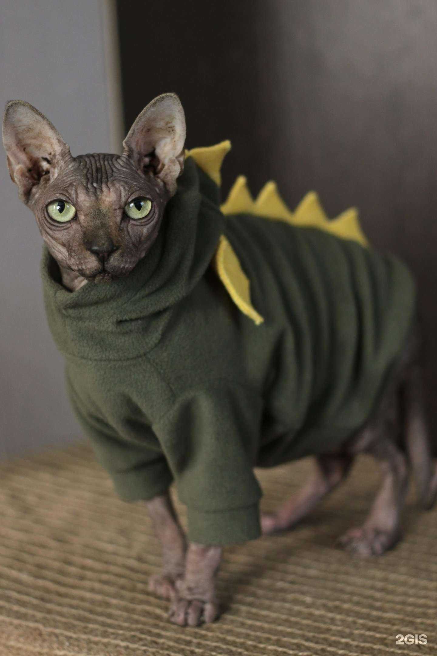 Отзывы на компанию А в г. Барнаул c фото