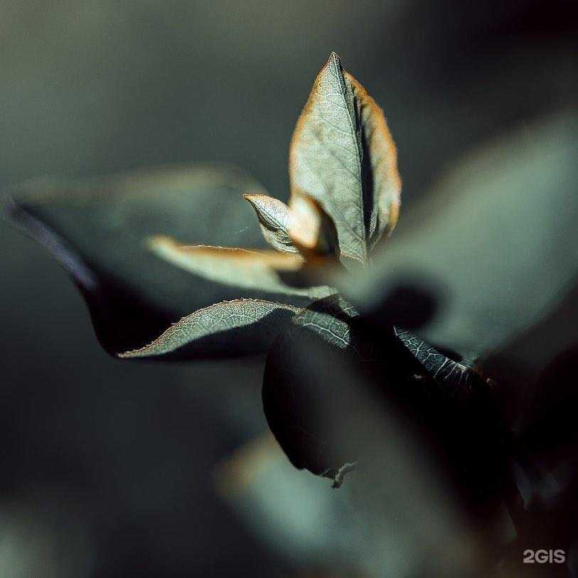 Отзывы на компанию Sas в г. Краснодар c фото