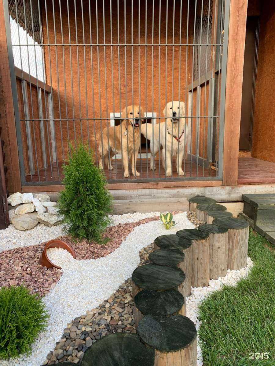 Отзывы на компанию Городские хвостики в г. Пермь c фото