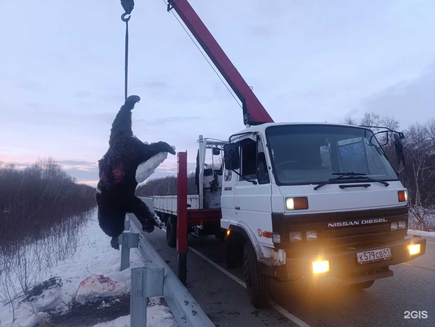 Отзывы на компанию Служба грузоперевозок в г. Елизово c фото