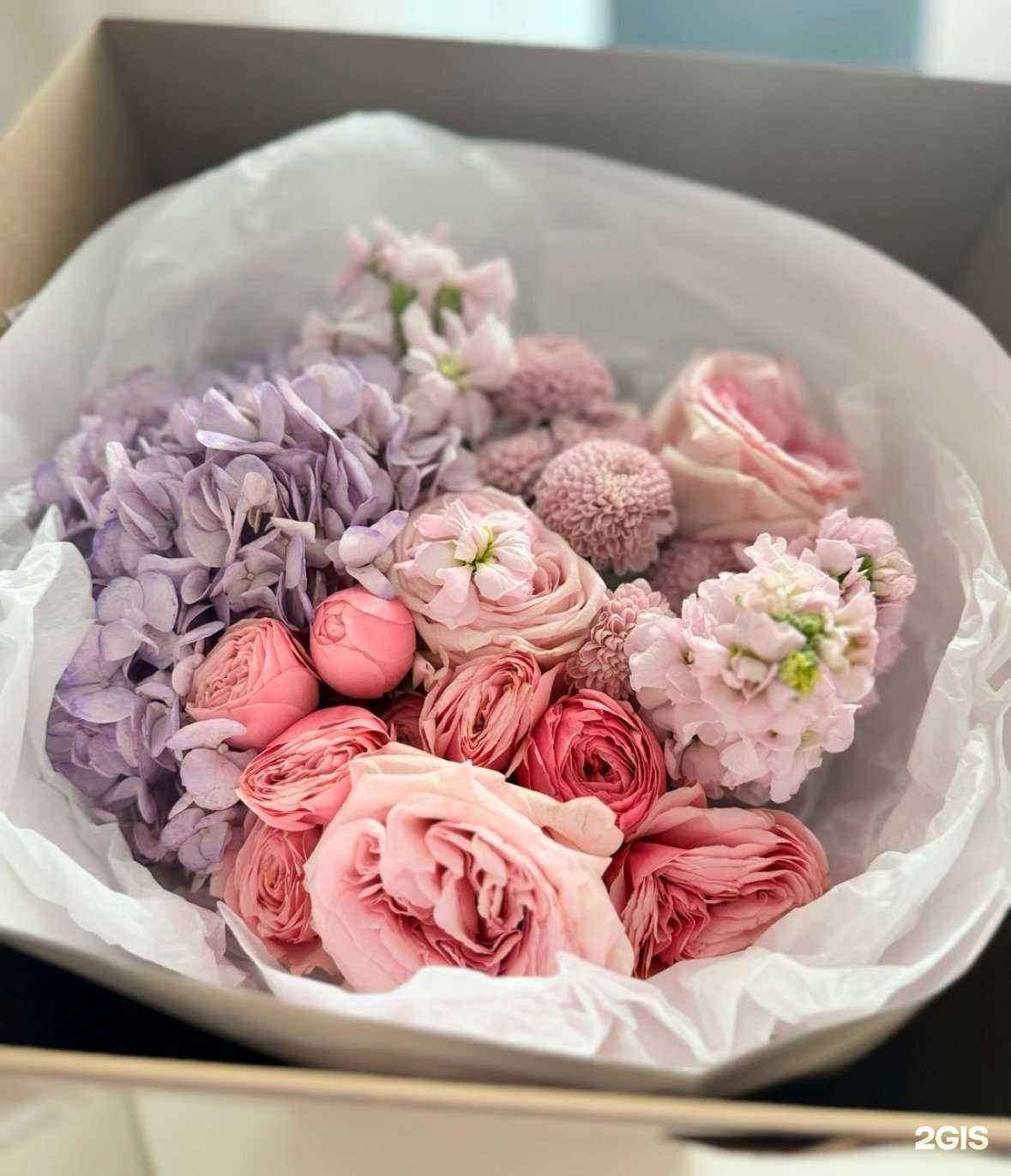 Отзывы на компанию Trava в г. Копейск c фото