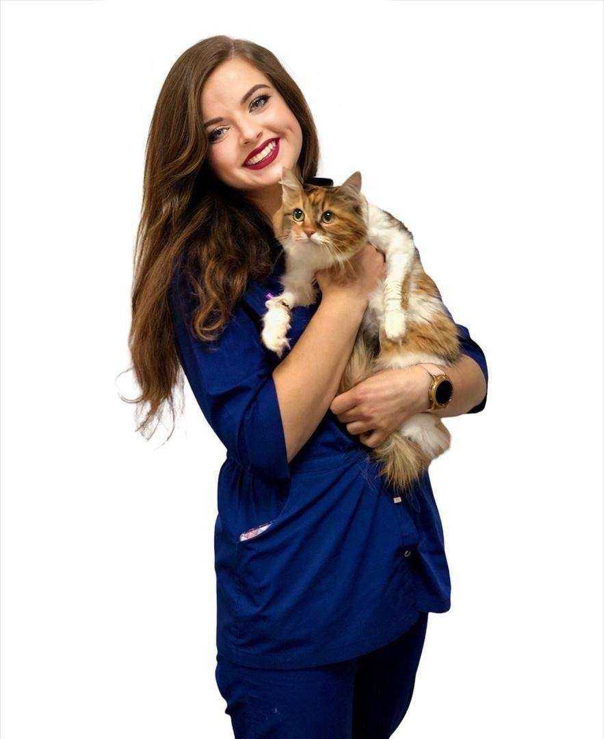 Отзывы на компанию Статус в г. Воронеж c фото