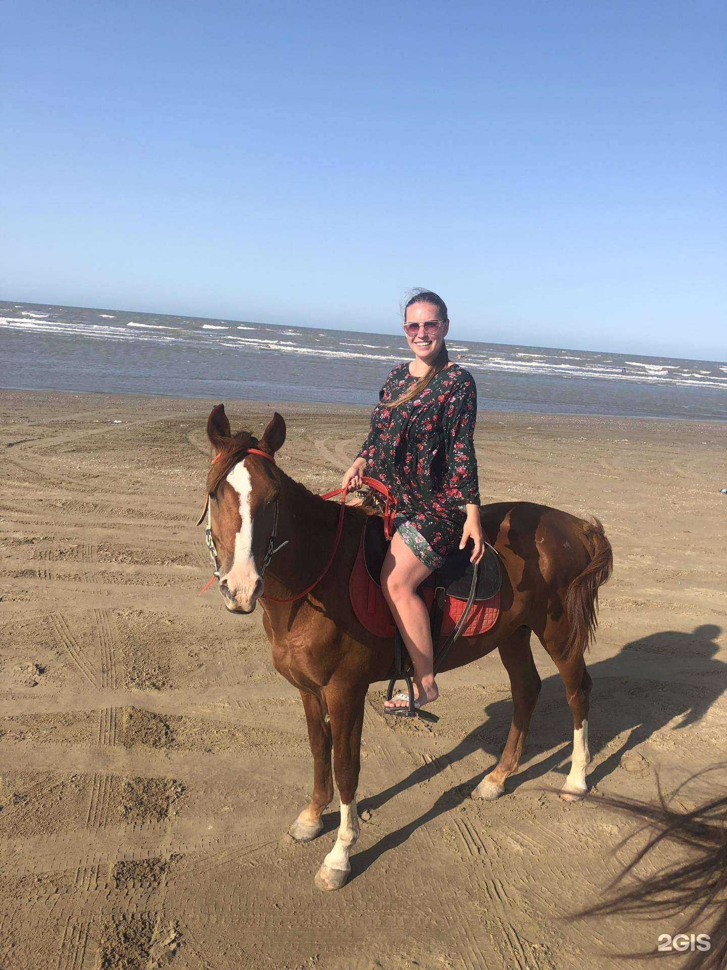 Отзывы на компанию Darkhorse в Каспийске c фото - фотография 2 из 2