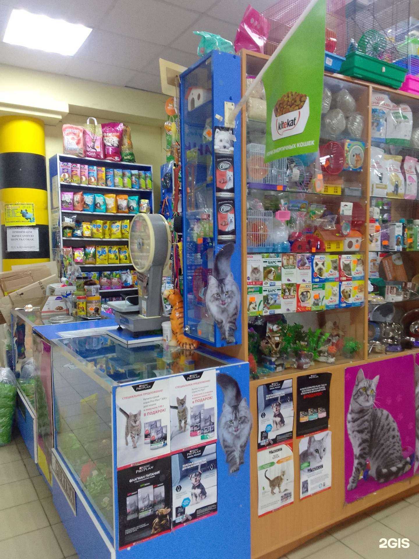 Отзывы на компанию Магазин товаров для животных в г. Брянск c фото