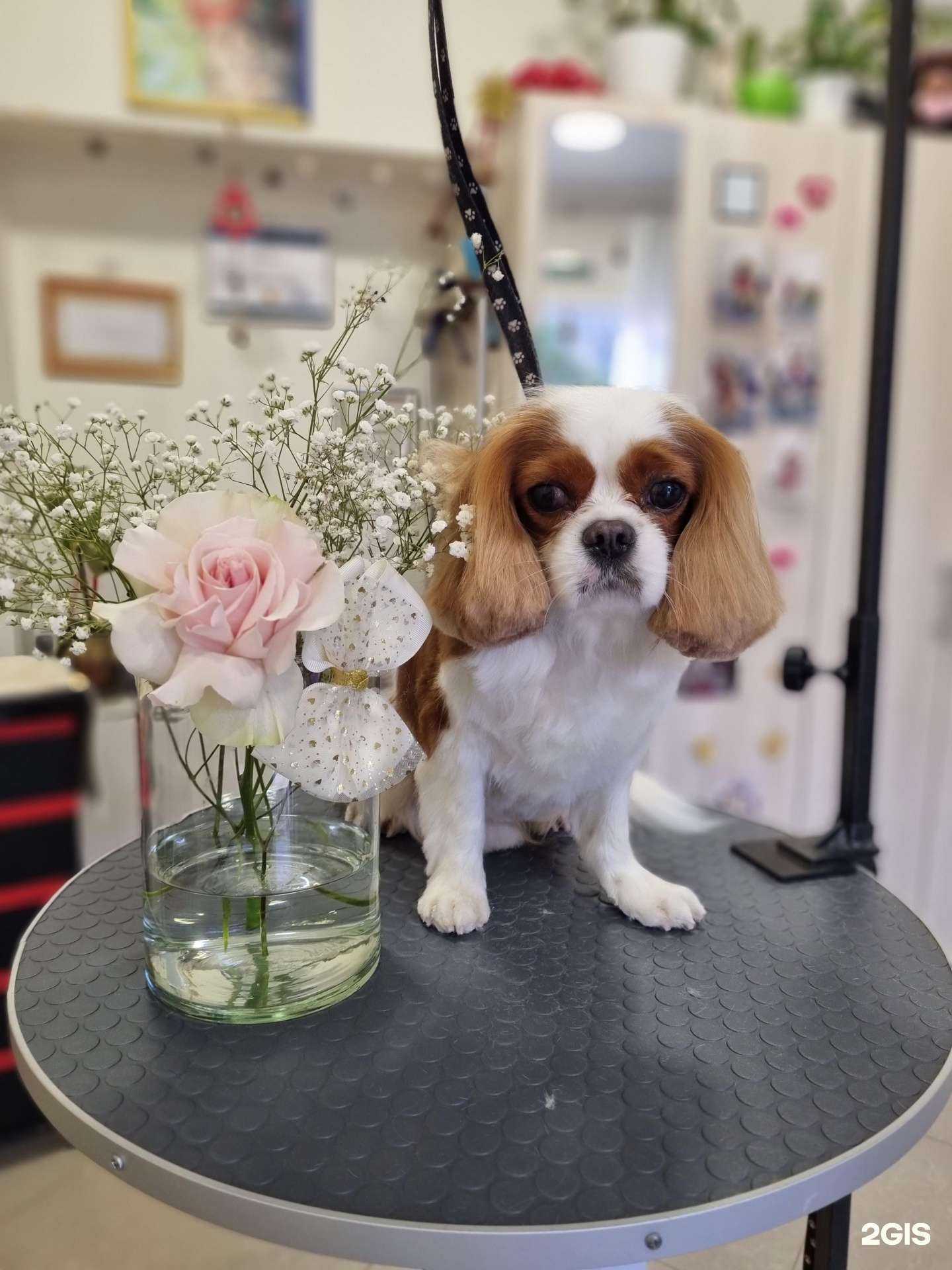 Отзывы на компанию Чудо в г. Сочи c фото