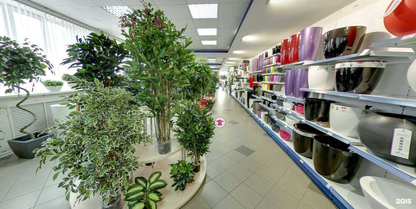 Отзывы на компанию Искусственные растения в Пензе c фото