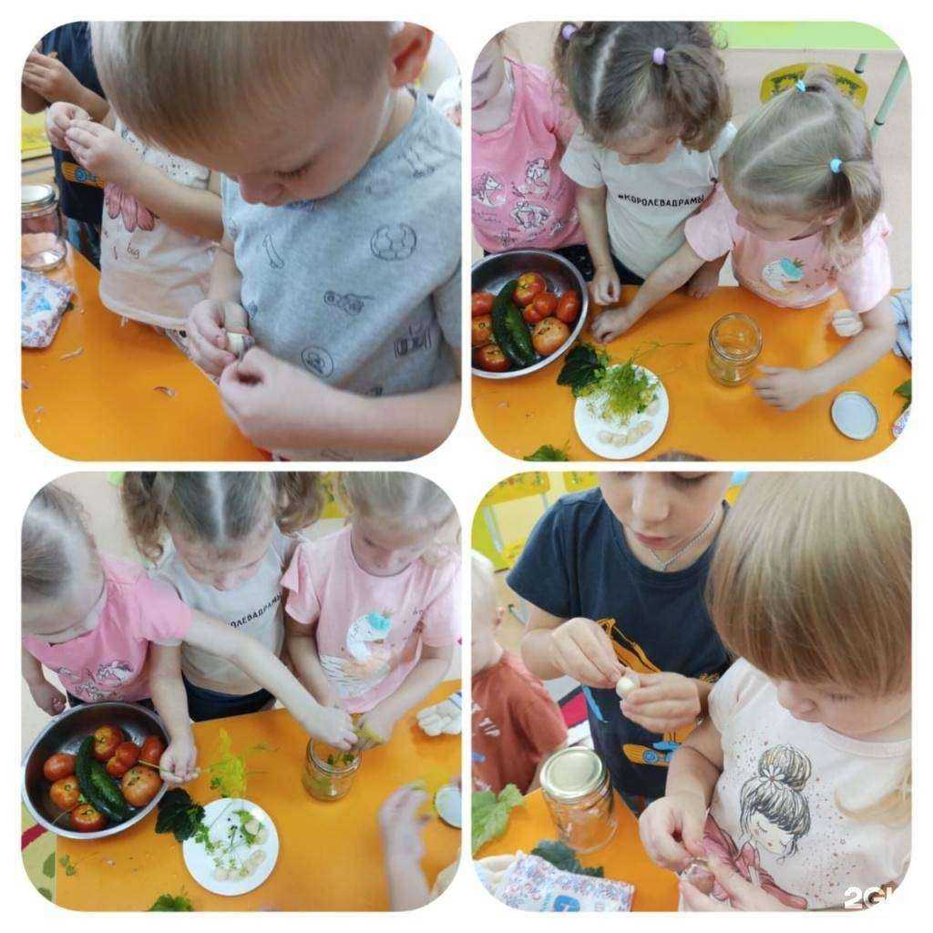 Отзывы на компанию Детский сад комбинированного вида №24 в г. Томск c фото