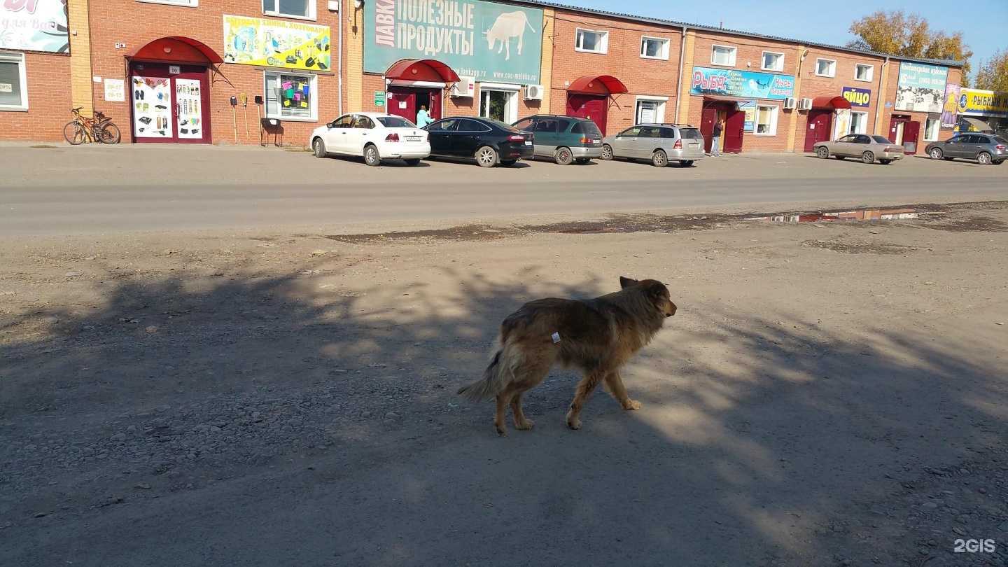 Отзывы на компанию Оптово-розничный магазин рыбы в Абакане c фото - фотография 2 из 2