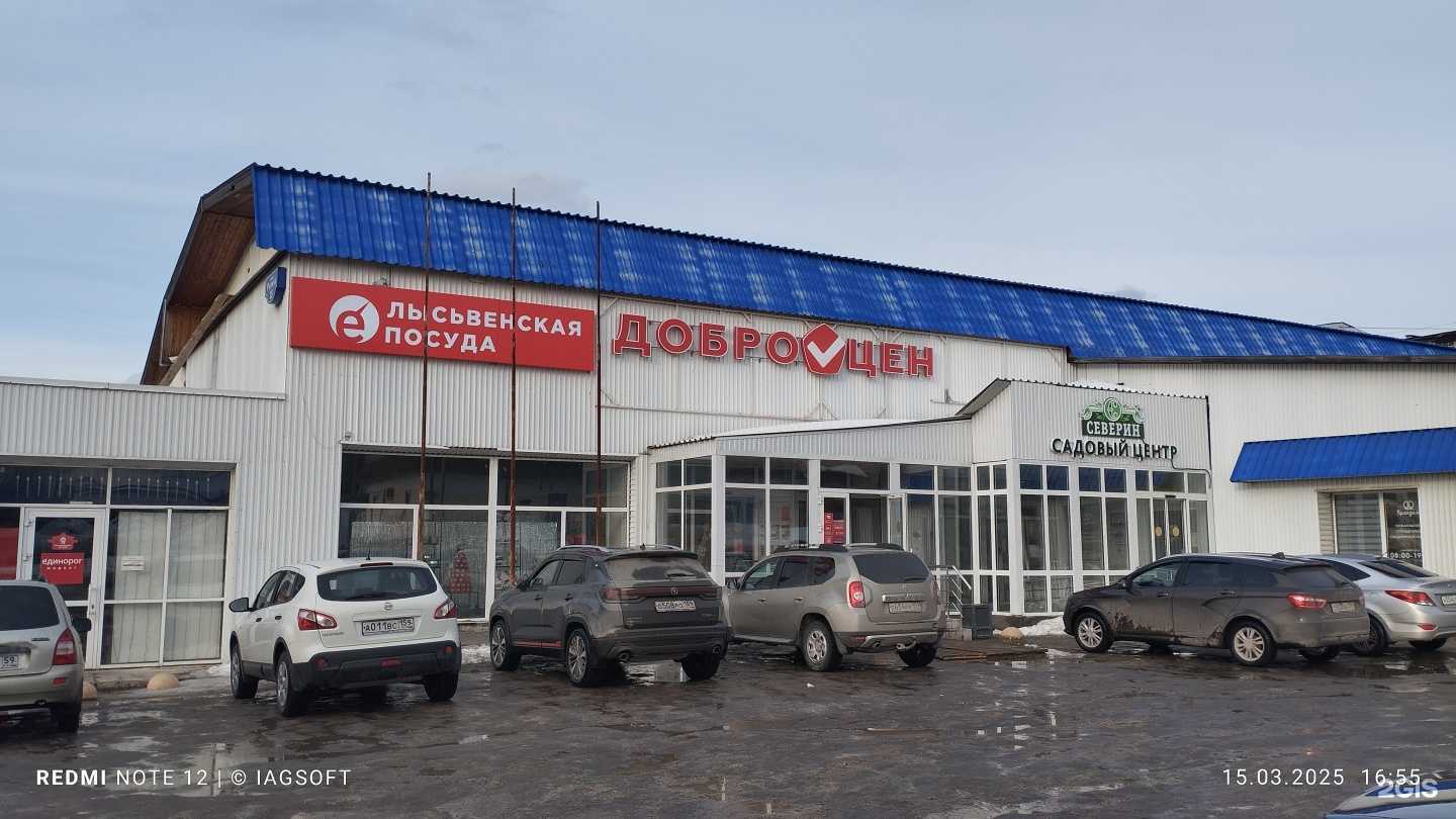 Отзывы на компанию Arena в Лысьве c фото