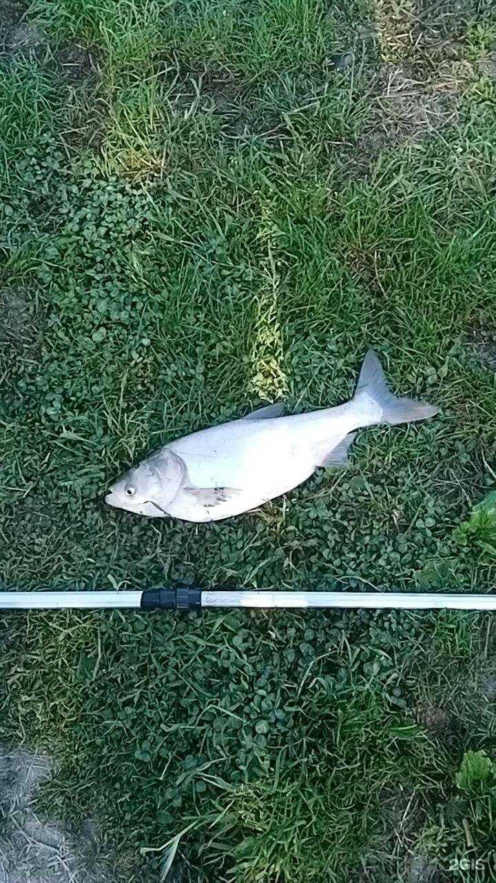 Отзывы на компанию Монастырские озера в г. Ессентуки c фото