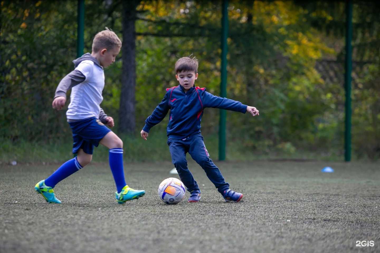 Отзывы на компанию Дебют в г. Омск c фото
