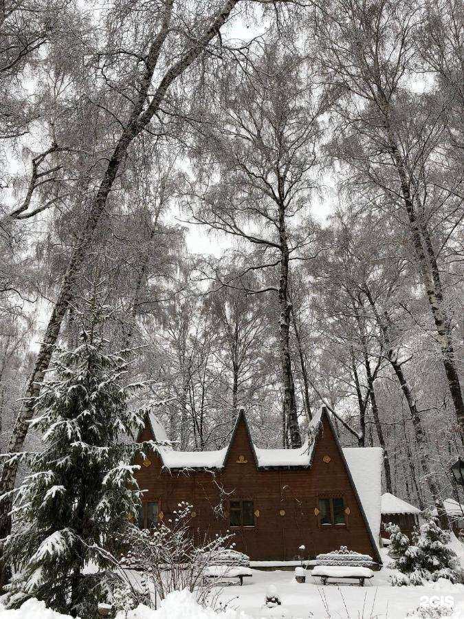 Отзывы на компанию Русский лес в Новомосковске c фото