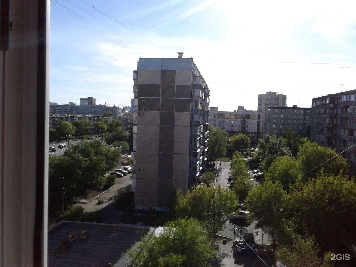 Отзывы на компанию Lilpet в Челябинске c фото - фотография 2 из 2