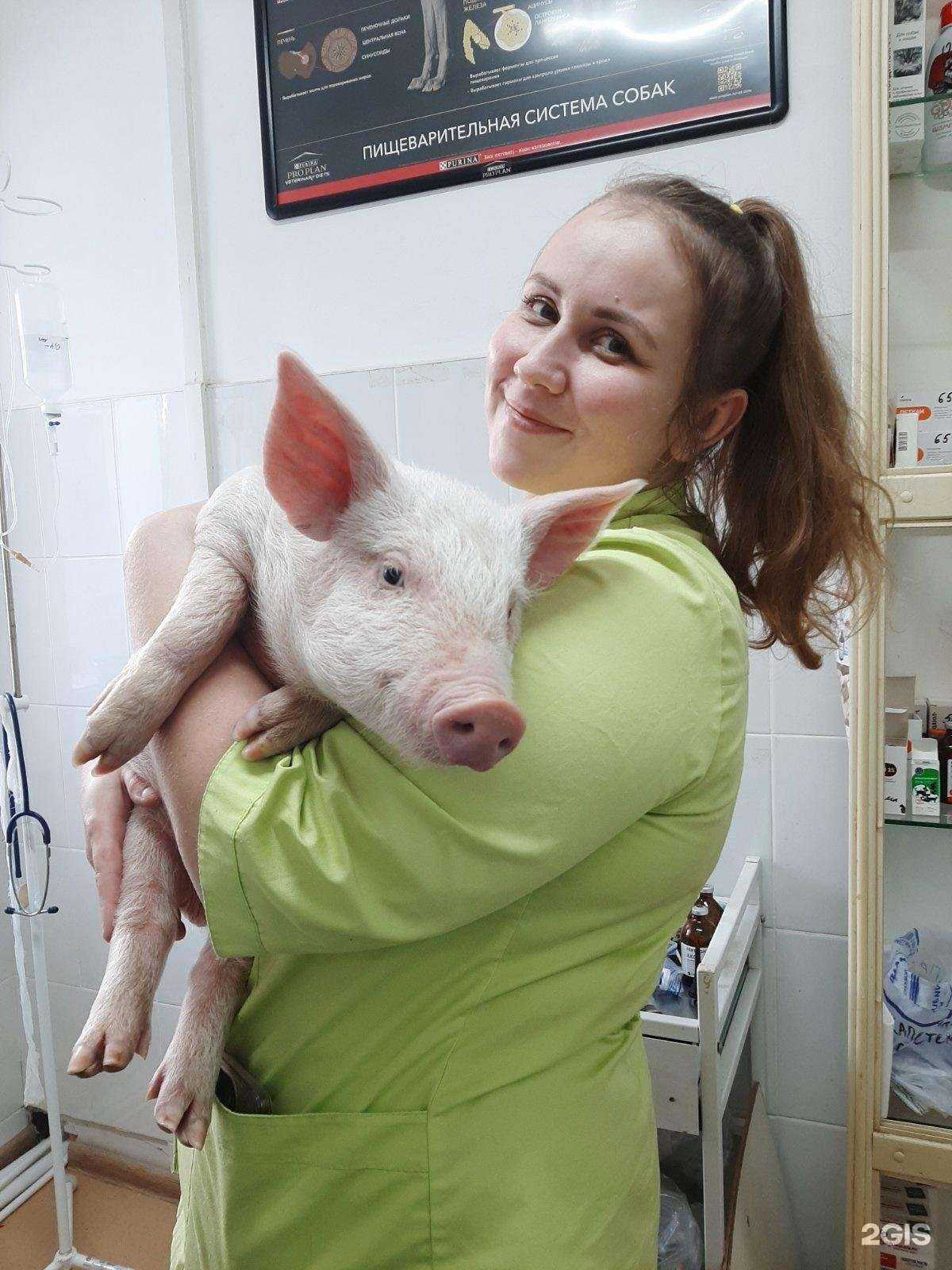 Отзывы на компанию Пермская станция по борьбе с болезнями животных в г. Пермь c фото