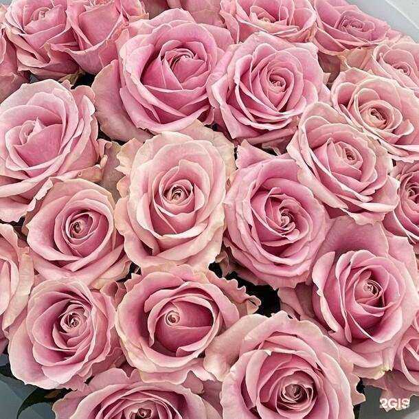 Отзывы на компанию Flawery в г. Магнитогорск c фото