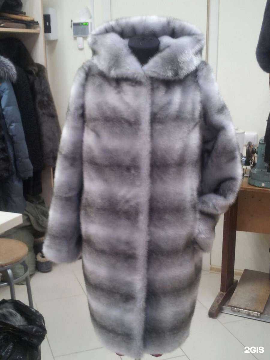 Отзывы на компанию Кошка в Перми c фото