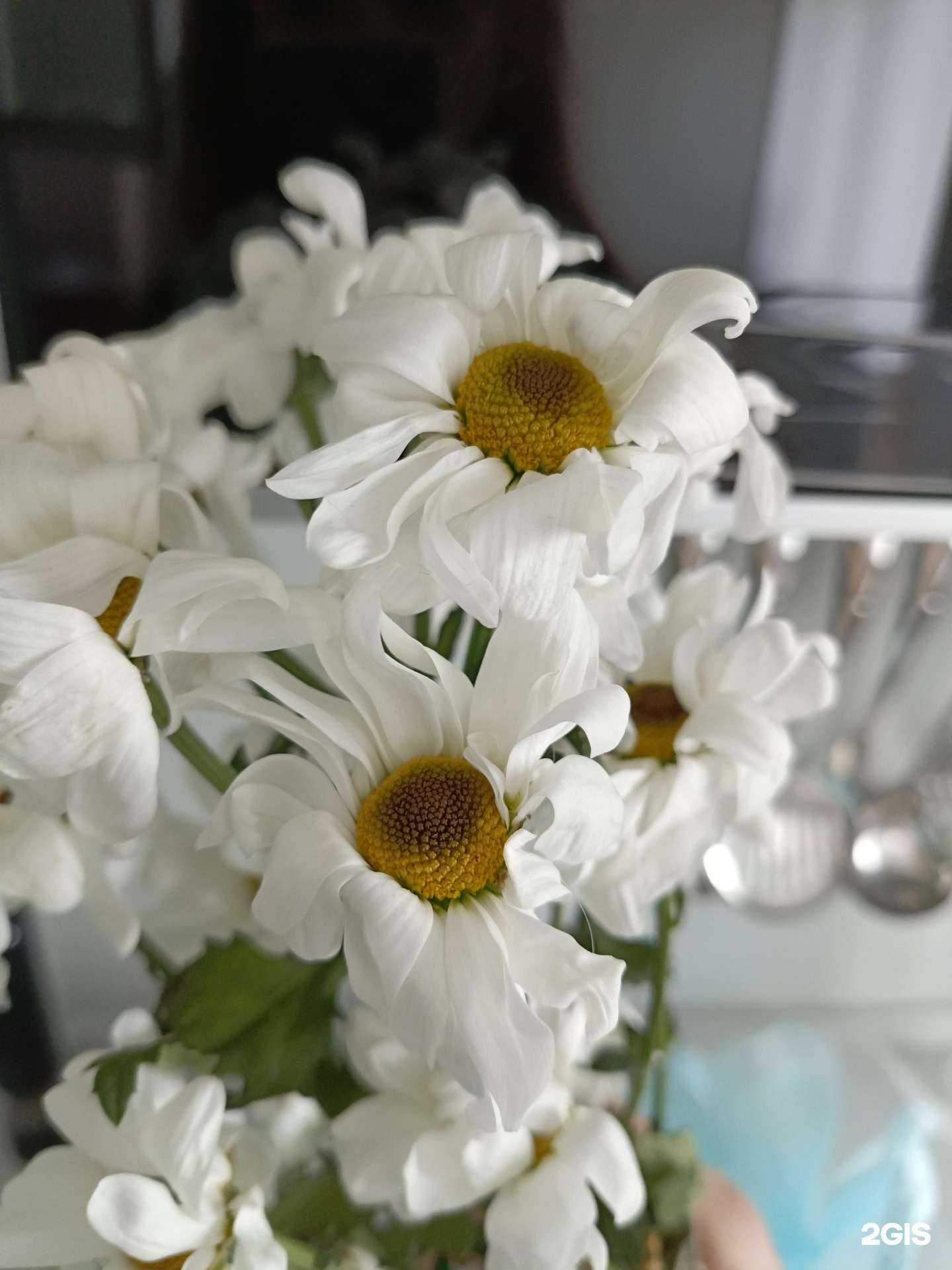 Отзывы на компанию Магазин цветов в г. Славянск-на-Кубани c фото