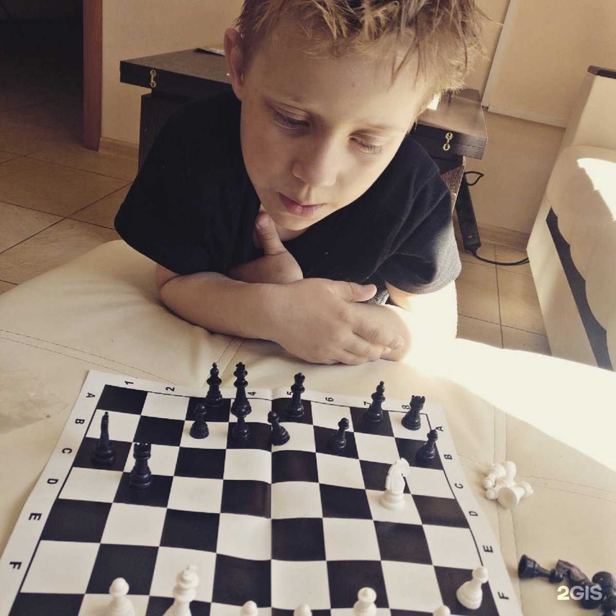 Отзывы на компанию Арт-Хостел в г. Иркутск c фото