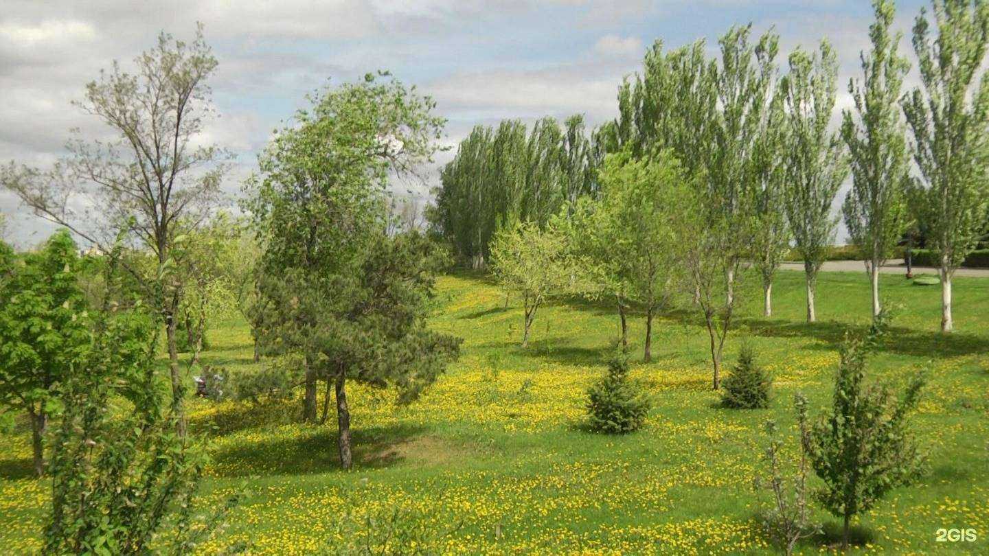 Отзывы на компанию Волгоград 1 в г. Волгоград c фото