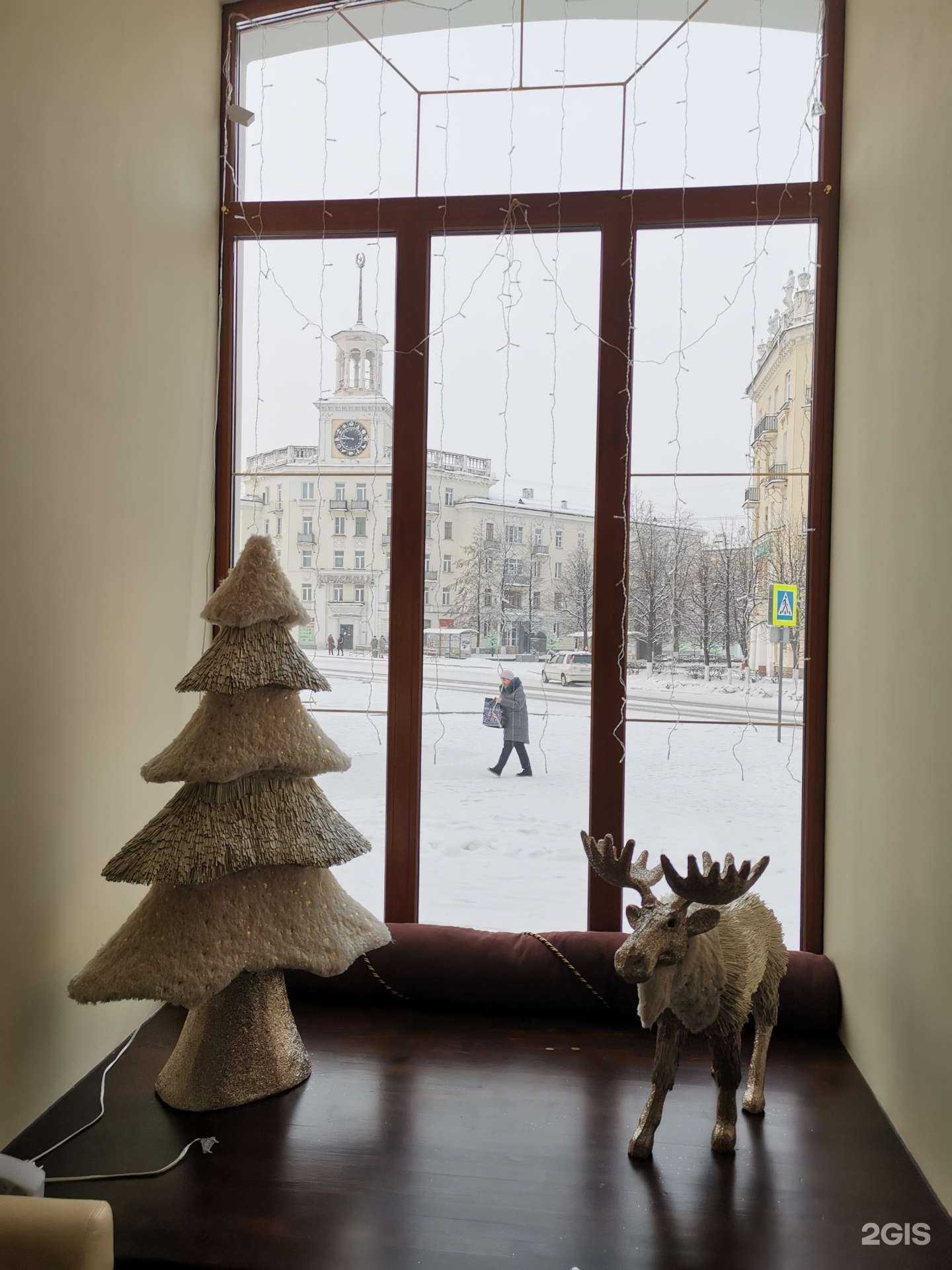 Отзывы на компанию Кошкин дом в Железногорске c фото - фотография 2 из 2
