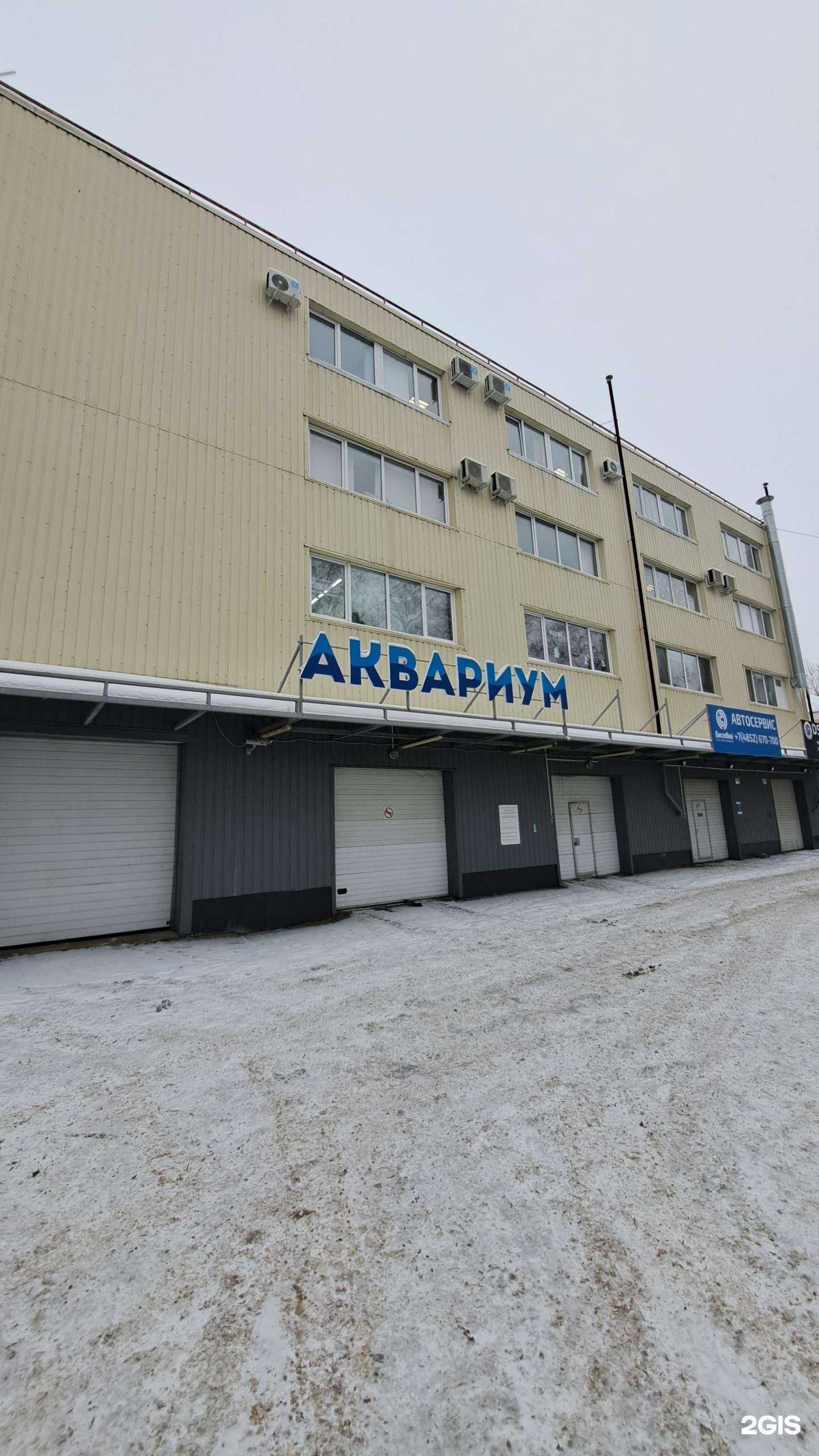 Отзывы на компанию Аквариум в Ярославле c фото - фотография 2 из 2