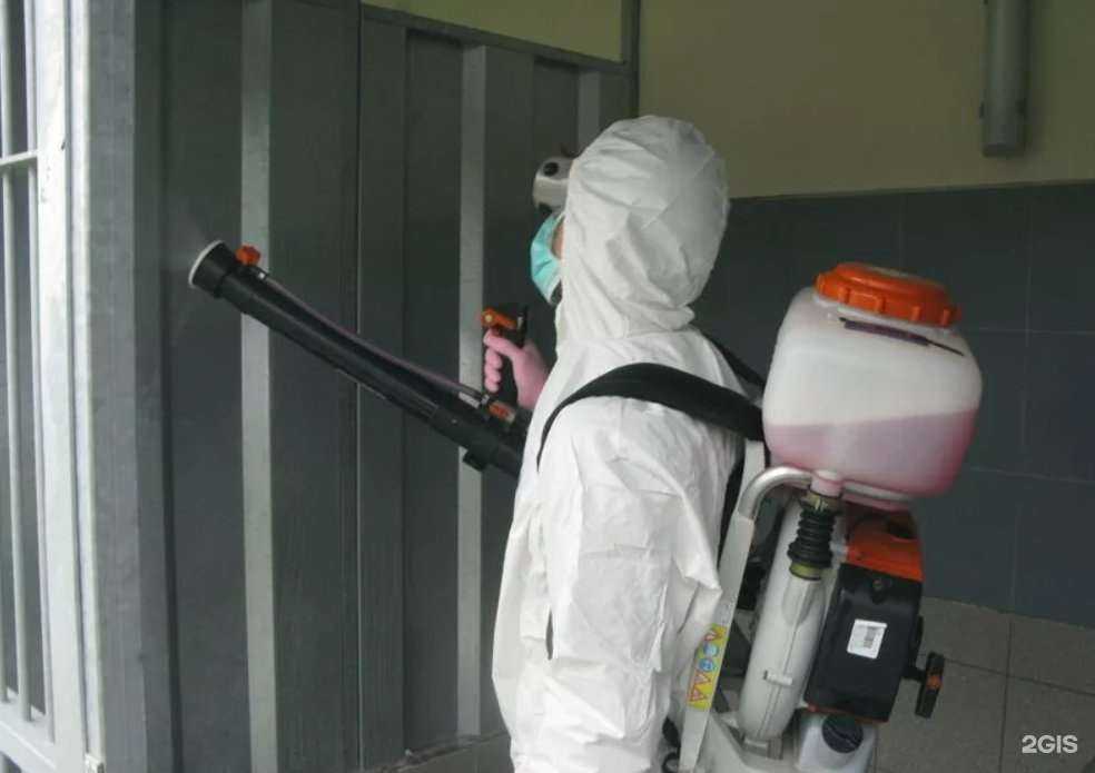 Отзывы на компанию Дезконтроль в г. Челябинск c фото