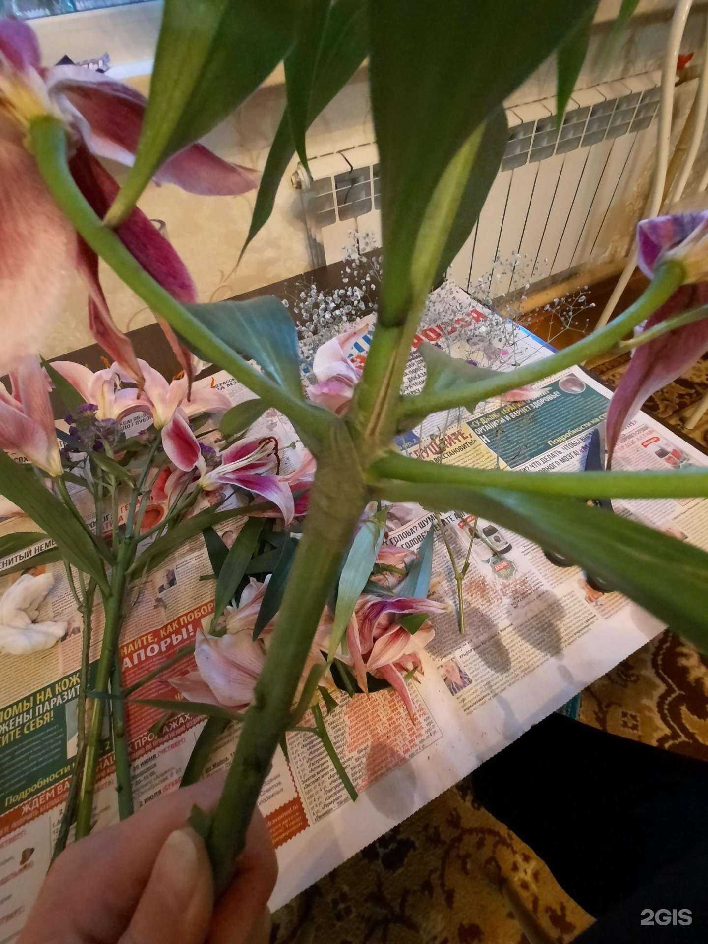 Отзывы на компанию Florist и я в Минусинске c фото